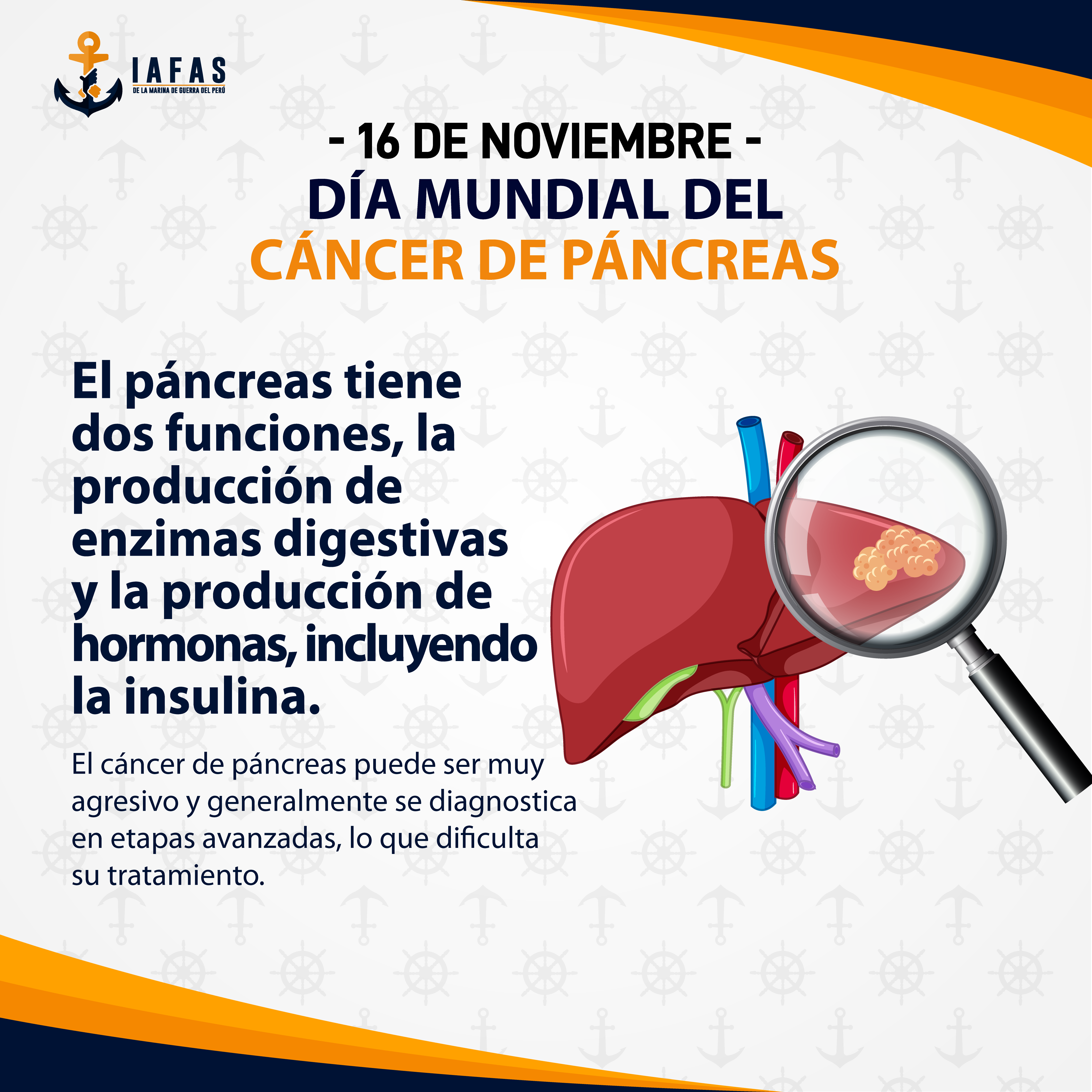 Día Mundial del cáncer de páncreas (16 de noviembre)